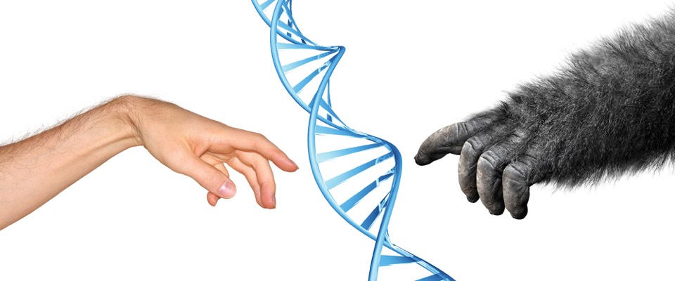 Creation and Evolution