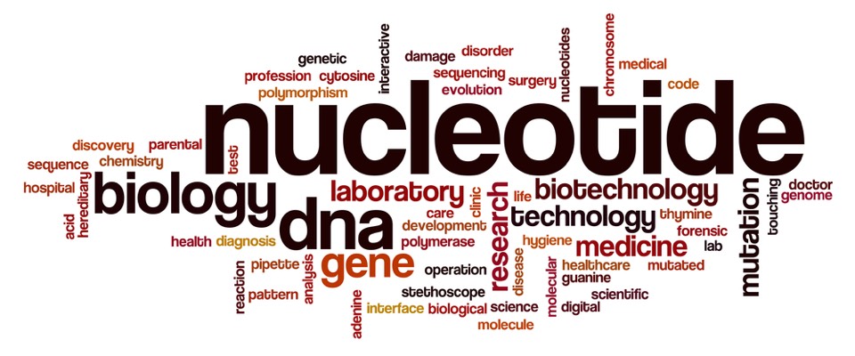 Nucleotide